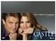 Castle Seasons 1-8 (dvd) Arye Gross Seamus Dever Maya Stojan Tamala Jones