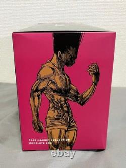 Complete Hunter x Hunter Face Magnet Collection Box Set Gon Killua Hisoka Rare