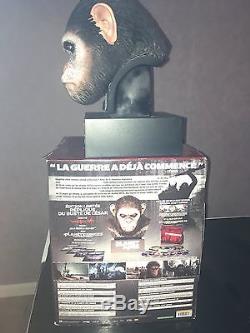 The Planet Of The Apes Limited Edition Bust Warrior