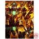 Theatrical Compilation Ssss. Dynazenon Blu-ray Japan Import