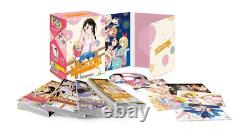 Kaze Nisekoi Integrale Saison 1 Cross Edition Vo/vf/vostfr/vosta Blu-ray