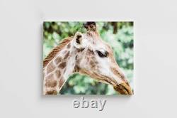 Shojo Kageki Revue Starlight Blu-ray Box 3 with Character Song CD Region free