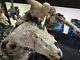 Statue Azog On Warg Weta Like New